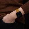 Pulseira native union (Re)Classic Strap para Apple Watch compatível 38/40/41 mm largura 31 mm profundidade 6 mm comprimento 205 mm 1 unid.