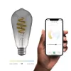 Lâmpada inteligente Avanca International BV Hombli HBEB-0211, Wi‑Fi, 5,5 W, cinzento, A19 (6,1×14,2 cm)
