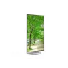 Sharp MultiSync EA272Q Monitor de computador 68,6 cm (27 polegadas) 2560 x 1440 píxeis 4K Ultra HD LCD branco