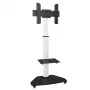 Techly suporte de chão com carrinho TV LCD/LED/Plasma 37-70 polegadas branco