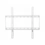 Suporte de parede para TV Techly ICA-PLB-162MW 139,7 cm (55 polegadas) branco