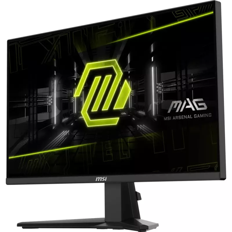 Monitor de computador MSI MAG 255XF 62,2 cm (24,5