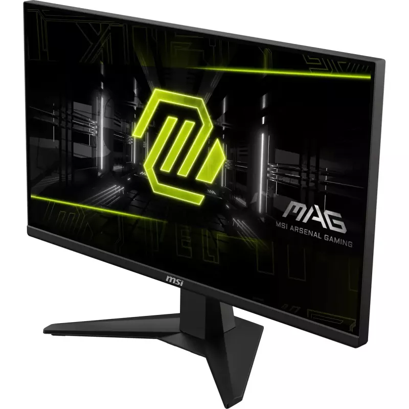 Monitor de computador MSI MAG 255XF 62,2 cm (24,5