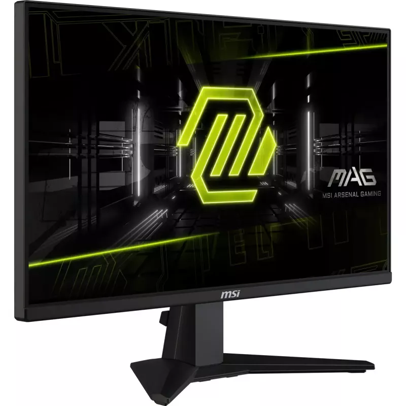 Monitor de computador MSI MAG 255XF 62,2 cm (24,5