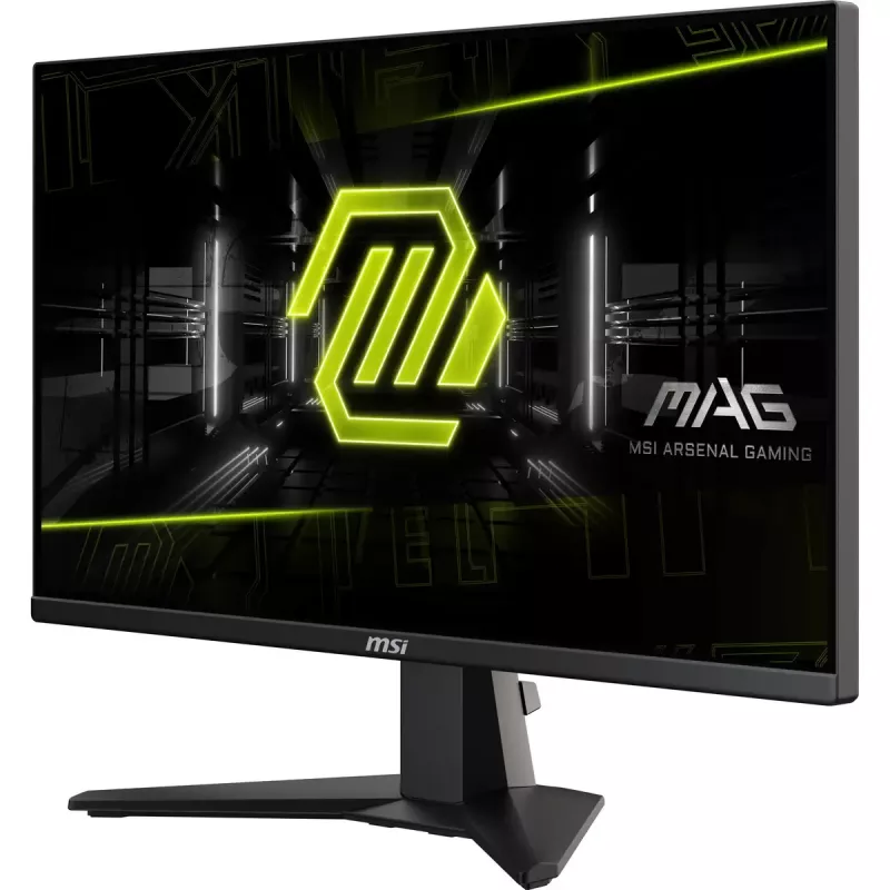 Monitor de computador MSI MAG 255XF 62,2 cm (24,5