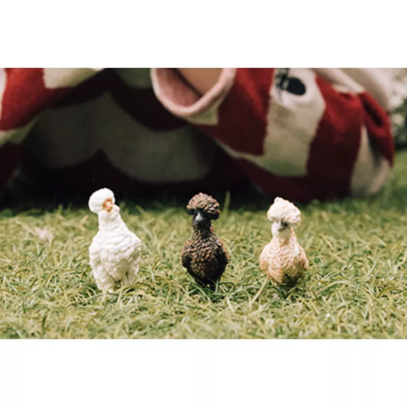 Figuras de brincar Schleich FARM WORLD Amigos das Galinhas Multicolor 42574