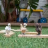Figuras de brincar Schleich FARM WORLD Amigos das Galinhas Multicolor 42574