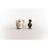 Figuras de brincar Schleich FARM WORLD Amigos das Galinhas Multicolor 42574