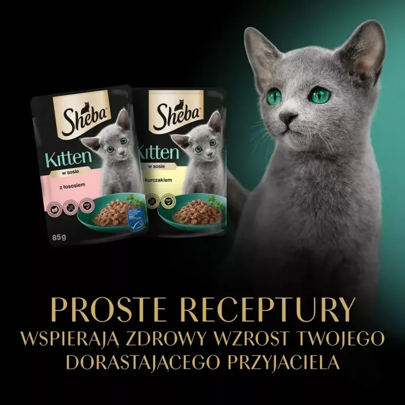Sheba Kitten Selection of Flavors comida húmida para gatos em molho, 40 x 85 g