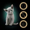 Sheba Kitten Selection of Flavors comida húmida para gatos em molho, 40 x 85 g
