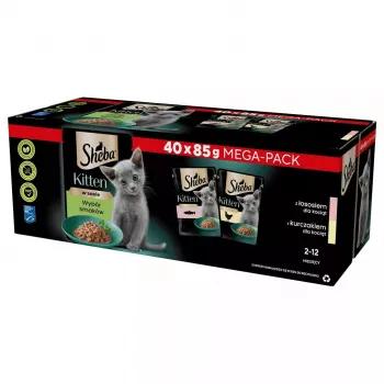 Comida húmida para gatos Sheba Kitten Selection of Flavors in Sauce 40×85 g — comida húmida para gatinhos, 40 saquetas x 85 g, 3,4 kg, sabor principal frango