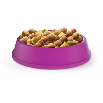 Comida seca para gatos adultos Whiskas Adult frango 14 kg — proteína 30 %, gordura 12 %, fibra bruta 2 %