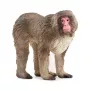 Figura Schleich WILD LIFE macaco-japonês bege castanho rosa 14871