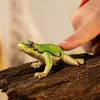 schleich WILD LIFE rã verde europeia, 3 ano(s), floresta, animais selvagens/brinquedo de aventura, multicolor