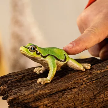 schleich WILD LIFE rã verde europeia, 3 ano(s), floresta, animais selvagens/brinquedo de aventura, multicolor