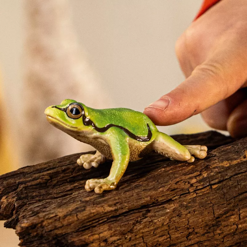 schleich WILD LIFE rã verde europeia, 3 ano(s), floresta, animais selvagens/brinquedo de aventura, multicolor