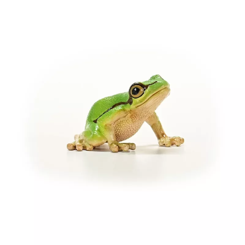 schleich WILD LIFE rã verde europeia, 3 ano(s), floresta, animais selvagens/brinquedo de aventura, multicolor