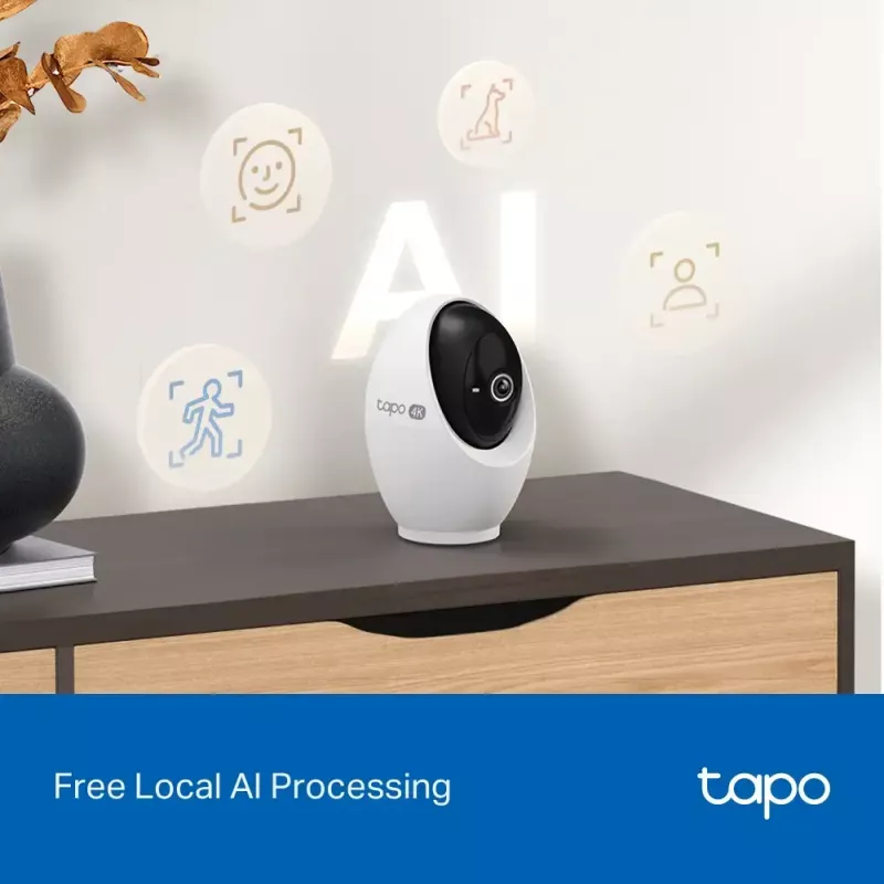 Câmara de vigilância IP TP-Link Tapo C260 3840 x 2160 píxeis