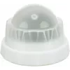 Brinquedo para gatos Trixie TRIXIE 42242 erva-gateira verde branco 5 cm, tecnopolímero, verso totalmente adesivo
