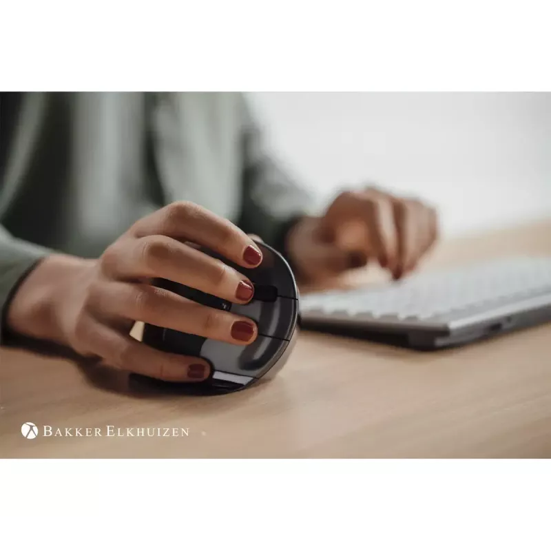 Rato BakkerElkhuizen Evoluent D RF Wireless