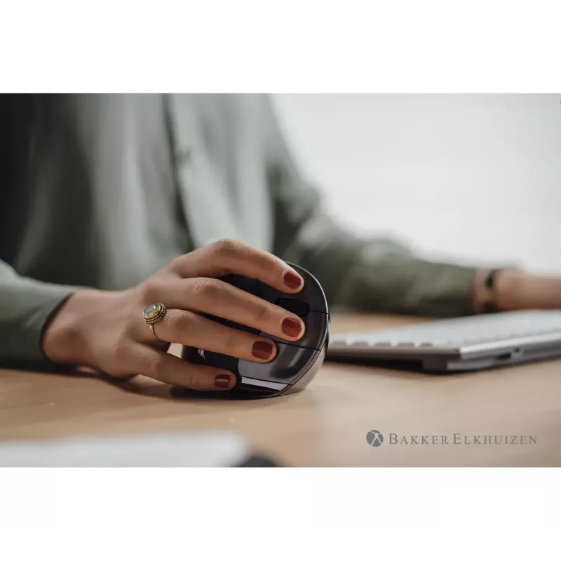 Rato BakkerElkhuizen Evoluent D RF Wireless