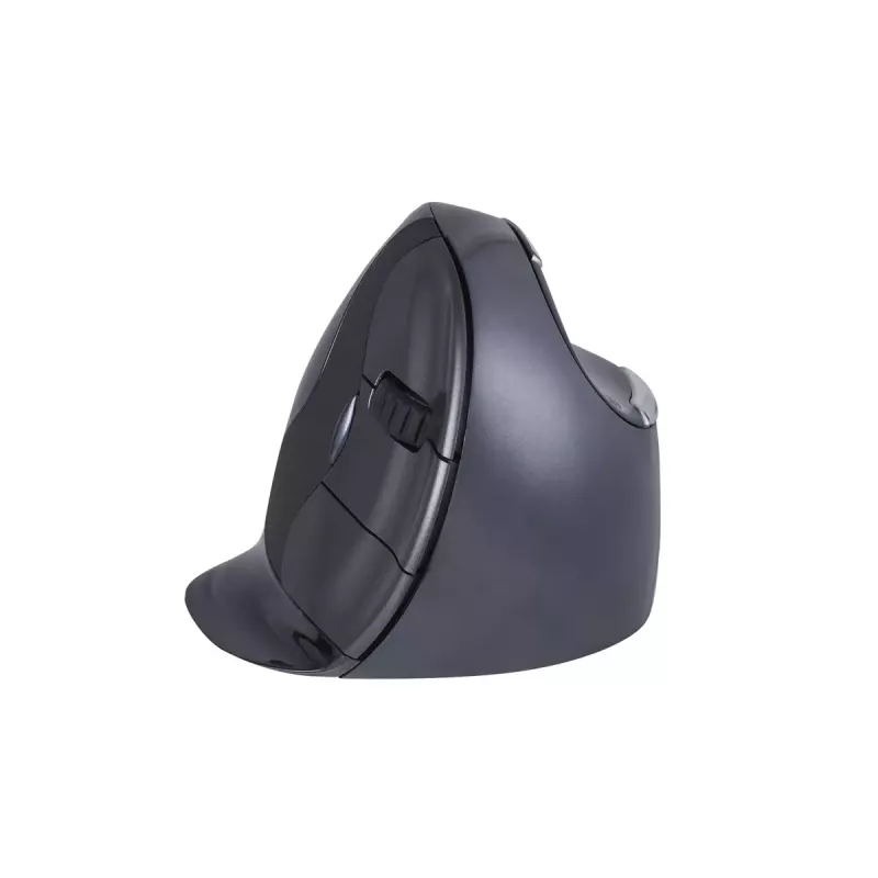 Rato BakkerElkhuizen Evoluent D RF Wireless