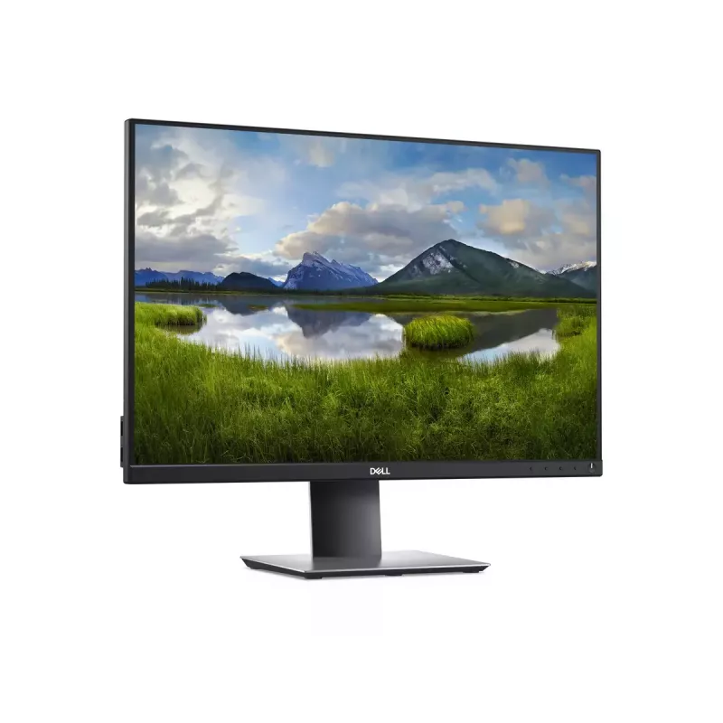 Monitor de computador DELL P Series P2421 61,2 cm (24,1 polegadas) 1920 x 1200 píxeis WUXGA LCD preto