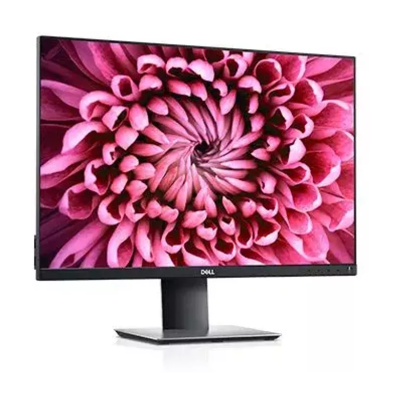 Monitor de computador DELL P Series P2421 61,2 cm (24,1 polegadas) 1920 x 1200 píxeis WUXGA LCD preto