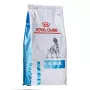 Comida seca para cães Royal Canin Anallergenic 8 kg — receita hipoalergénica de aves para adultos, sem glúten, sem lactose
