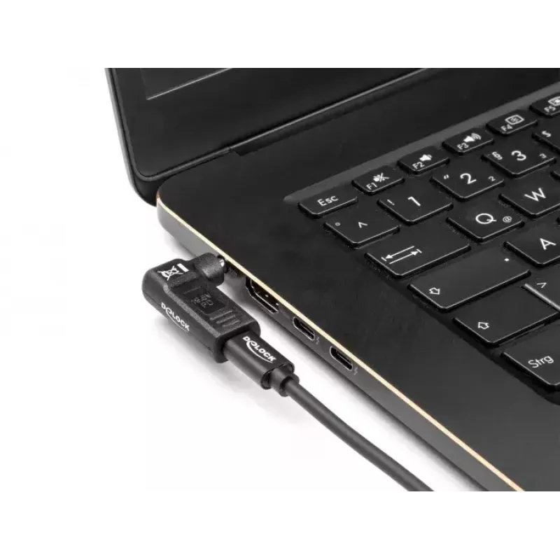 Adaptador de alimentação para portátil DeLOCK 60011 USB-C para 5,5 x 2,5 mm 19V 3A