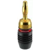 Conector de cabo ficha banana ClickTronic 52546