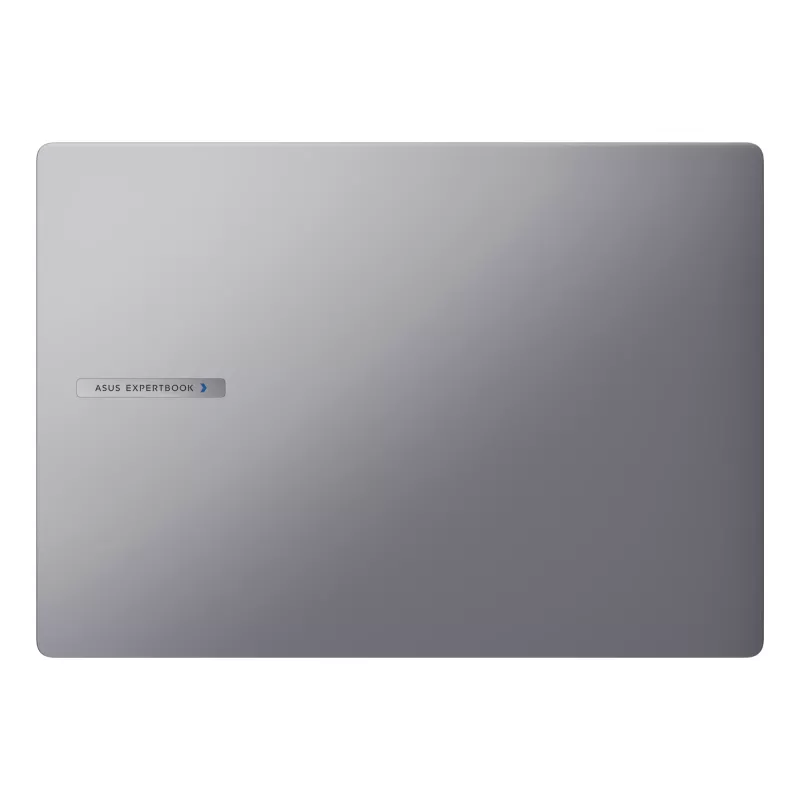Portátil ASUS ExpertBook P3 P3605CVA-MB0024X 16