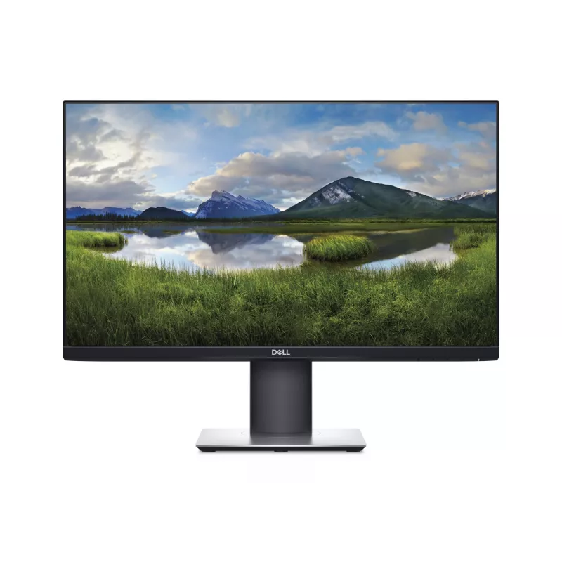 Monitor de computador DELL P2419H 61 cm (24 polegadas) 1920 x 1080 píxeis Full HD LCD preto