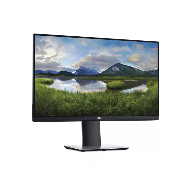 Monitor de computador DELL P2419H 61 cm (24 polegadas) 1920 x 1080 píxeis Full HD LCD preto