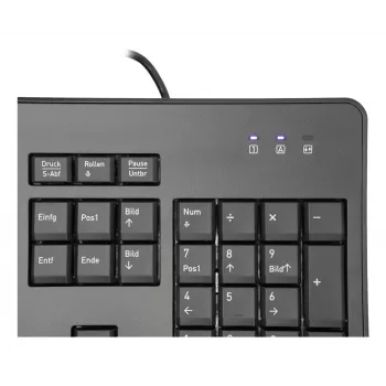TERRA 1500 Teclado e rato incluídos Escritório USB QWERTZ Alemão Preto