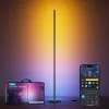 Candeeiro de pé Govee Matter RGBICW H8076C13 — iluminação LED inteligente com RGBIC e branco ajustável