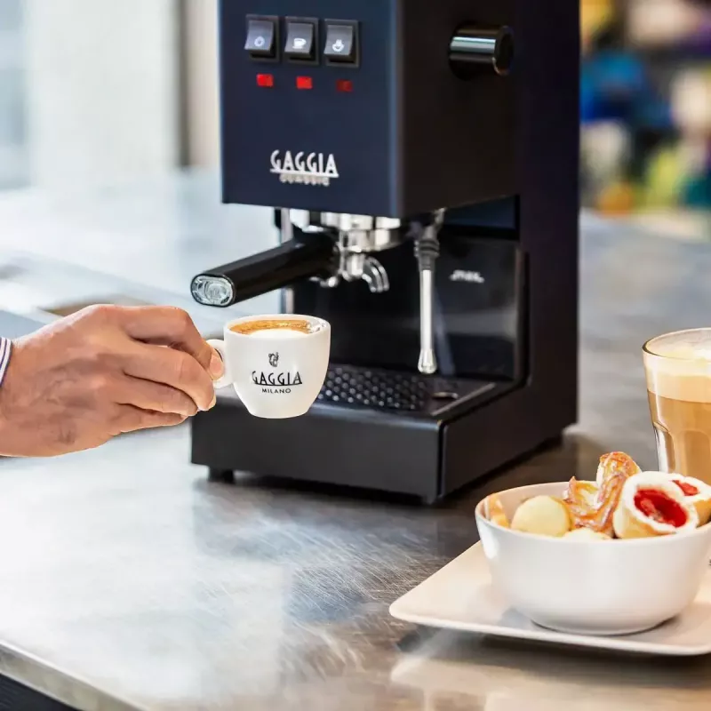 Máquina de café expresso Gaggia Classic Evo E24 – bomba de 15 bar, aço inoxidável