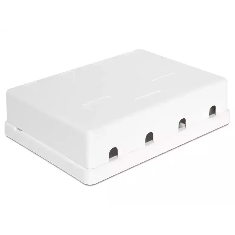 DeLOCK 86208 Caixa Keystone de superfície, 4 portas, branco