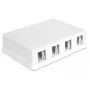 DeLOCK 86208 Caixa Keystone de superfície, 4 portas, branco