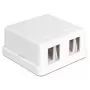 DeLOCK 86207 Caixa Keystone de superfície vazia, 2 portas, branco