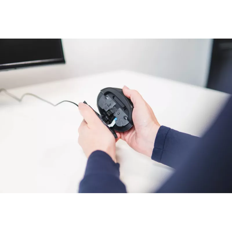 Rato sem fios BakkerElkhuizen Oyster Mouse
