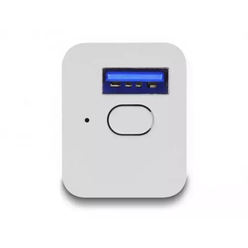 Tomada Inteligente DeLOCK 11828 Interior Wi-Fi 2 A Branco