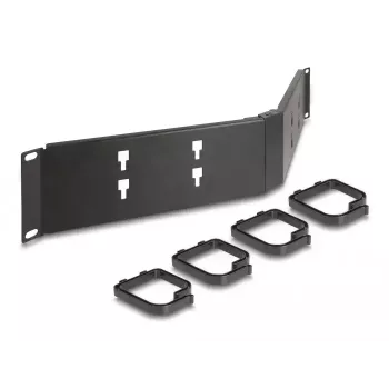 Painel de Gestão de Cabos DELOCK 19 Polegadas 66978 2U Angular Preto