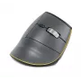 Rato BakkerElkhuizen FastForward, para destros, design vertical, ótico, RF Wireless + Bluetooth + USB Type-C, 500 DPI, cinzento