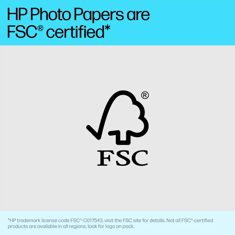 HP 49V51A Advanced papel fotográfico brilhante, 4 x 12 polegadas (102 x 305 mm), 250 g/m², 65 lb, 10,5 mil, 10 folhas