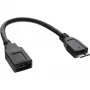 Cabo adaptador OTG InLine Micro USB 3.0 Micro-B macho para USB Type-A fêmea 0,15 m