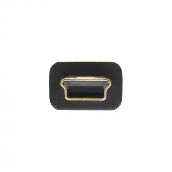 Cabo plano InLine USB 2.0 USB Type-A macho / Mini-B macho 5 polos preto/dourado 0,3 m