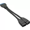 Cabo adaptador interno InLine USB 3.0 2x USB Type-A fêmea / header da placa-mãe