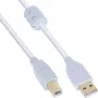 Cabo USB 2.0 InLine Type-A macho / Type-B macho, banhado a ouro, com núcleo de ferrite, branco, 10 m