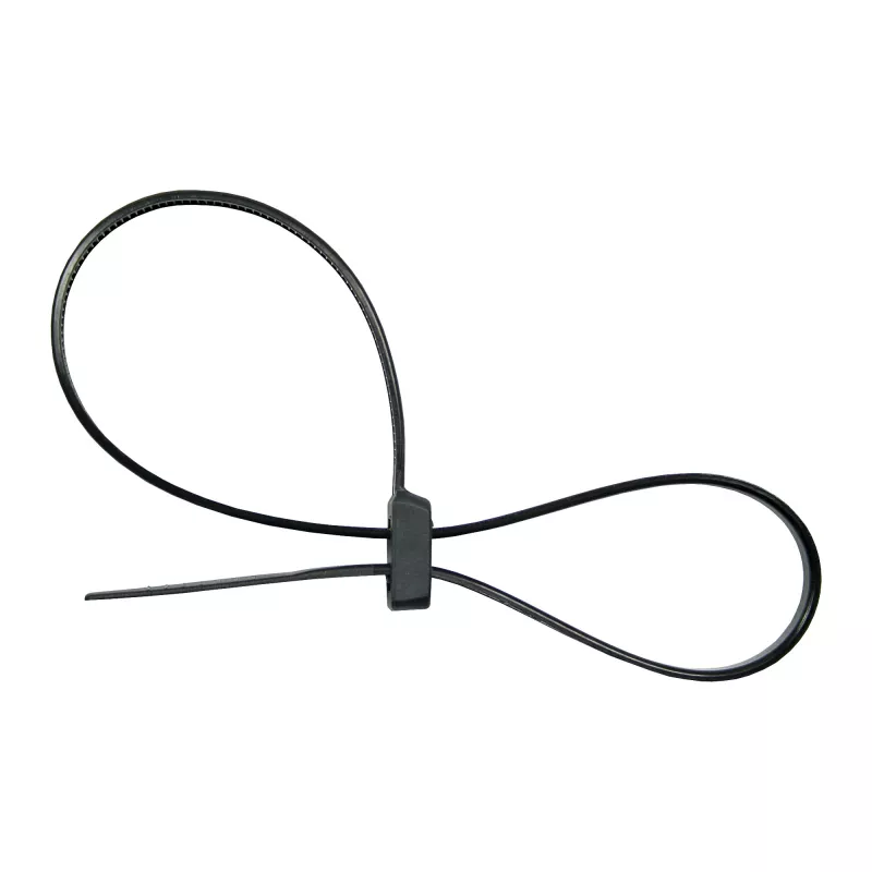 Abraçadeiras de cabos de cabeça dupla montáveis InLine 300 mm x 4,8 mm, nylon, preto, 100 unid.